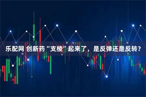 乐配网 创新药“支棱”起来了，是反弹还是反转？