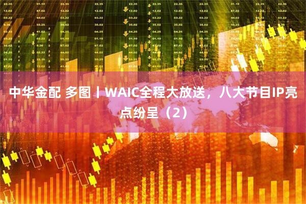 中华金配 多图丨WAIC全程大放送，八大节目IP亮点纷呈（2）