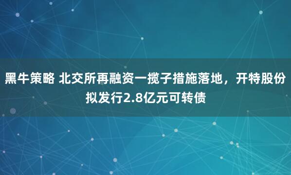 黑牛策略 北交所再融资一揽子措施落地，开特股份拟发行2.8亿元可转债
