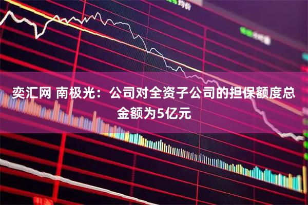 奕汇网 南极光：公司对全资子公司的担保额度总金额为5亿元
